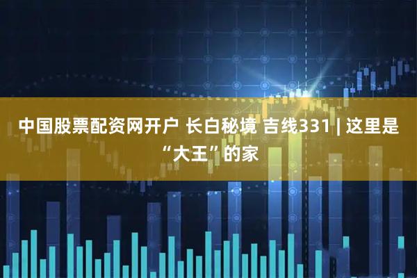中国股票配资网开户 长白秘境 吉线331 | 这里是“大王”的家