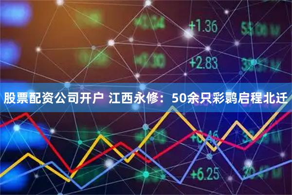 股票配资公司开户 江西永修：50余只彩鹮启程北迁