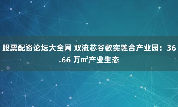 股票配资论坛大全网 双流芯谷数实融合产业园：36.66 万㎡产业生态