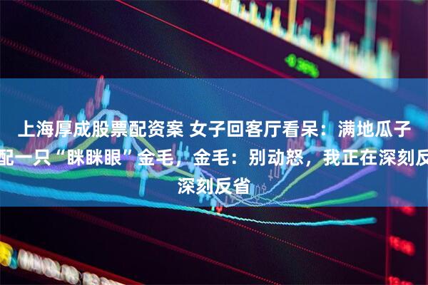 上海厚成股票配资案 女子回客厅看呆：满地瓜子皮配一只“眯眯眼”金毛，金毛：别动怒，我正在深刻反省